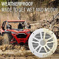 BOSS Audio Systems Marine Gauge Receiver - Weatherproof Bluetooth Digital Media Receiver