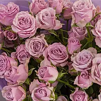 11 Lavender Spray Rose Bouquet