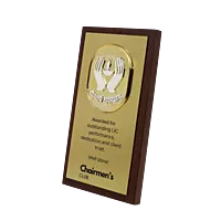 LIC CHAIRMEN  PLAQUES TROPHY1