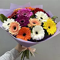 15 Colorful Gerbera Bouquet