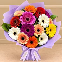 15 Colorful Gerbera Bouquet