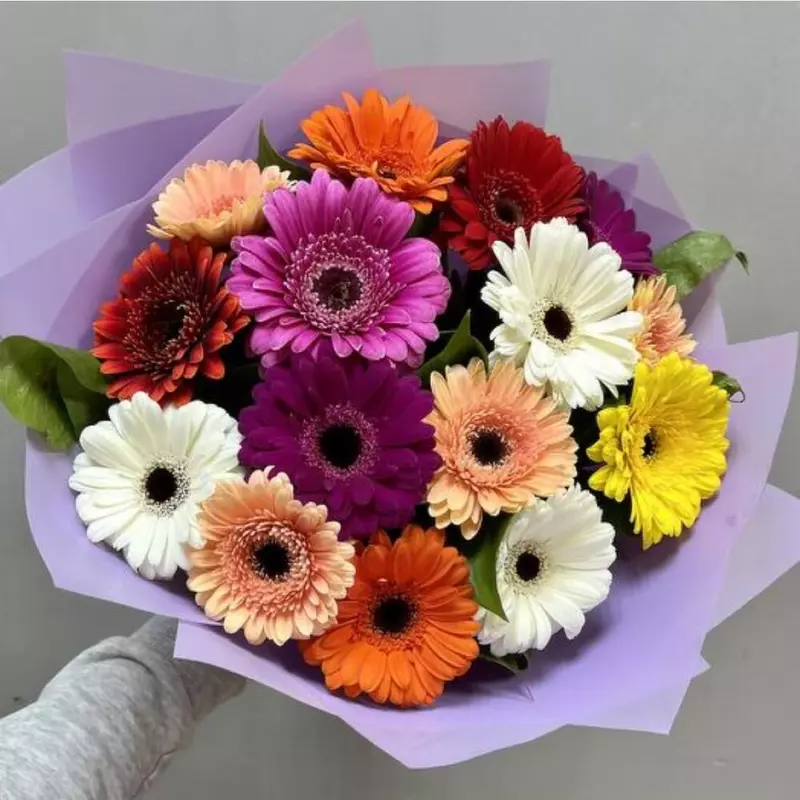 15 Colorful Gerbera Bouquet
