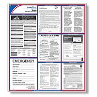 ComplyRight State Labor Law Poster, New Mexico (E10NM) - English