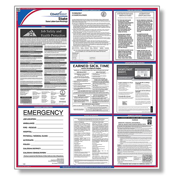 ComplyRight State Labor Law Poster, New Mexico (E10NM) - English