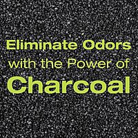 OdoBan Air Purifying Charcoal Natural Odor Eliminator, Non-Toxic Formula, Made in the USA, Fragrance Free, 6-Pack of 10 Gram Bags 2.11 Ounce (Pack of 1)