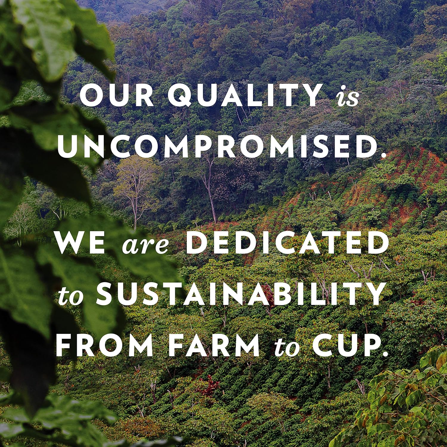 Community Coffee Pre-Measured Ground Coffee Packs