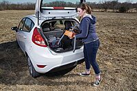 Champion Targets 40916 Workhorse Electronic Trap