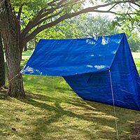 Nite Ize CamJam Cord/Rope Tightener with Carabiner Clip