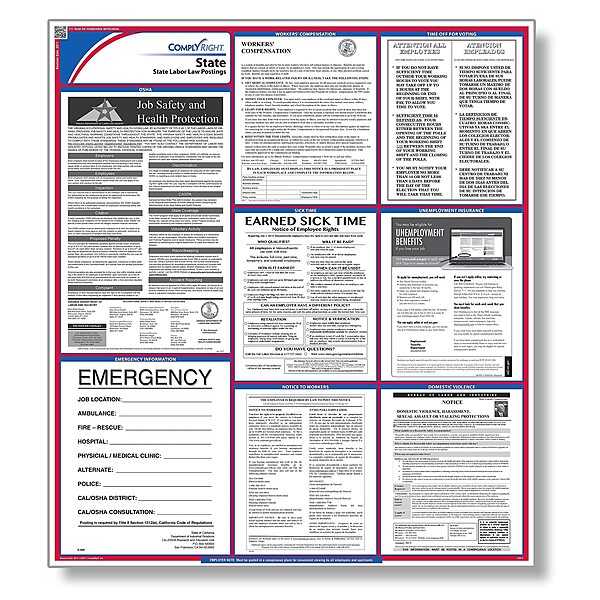 ComplyRight State Labor Law Poster, English, Idaho