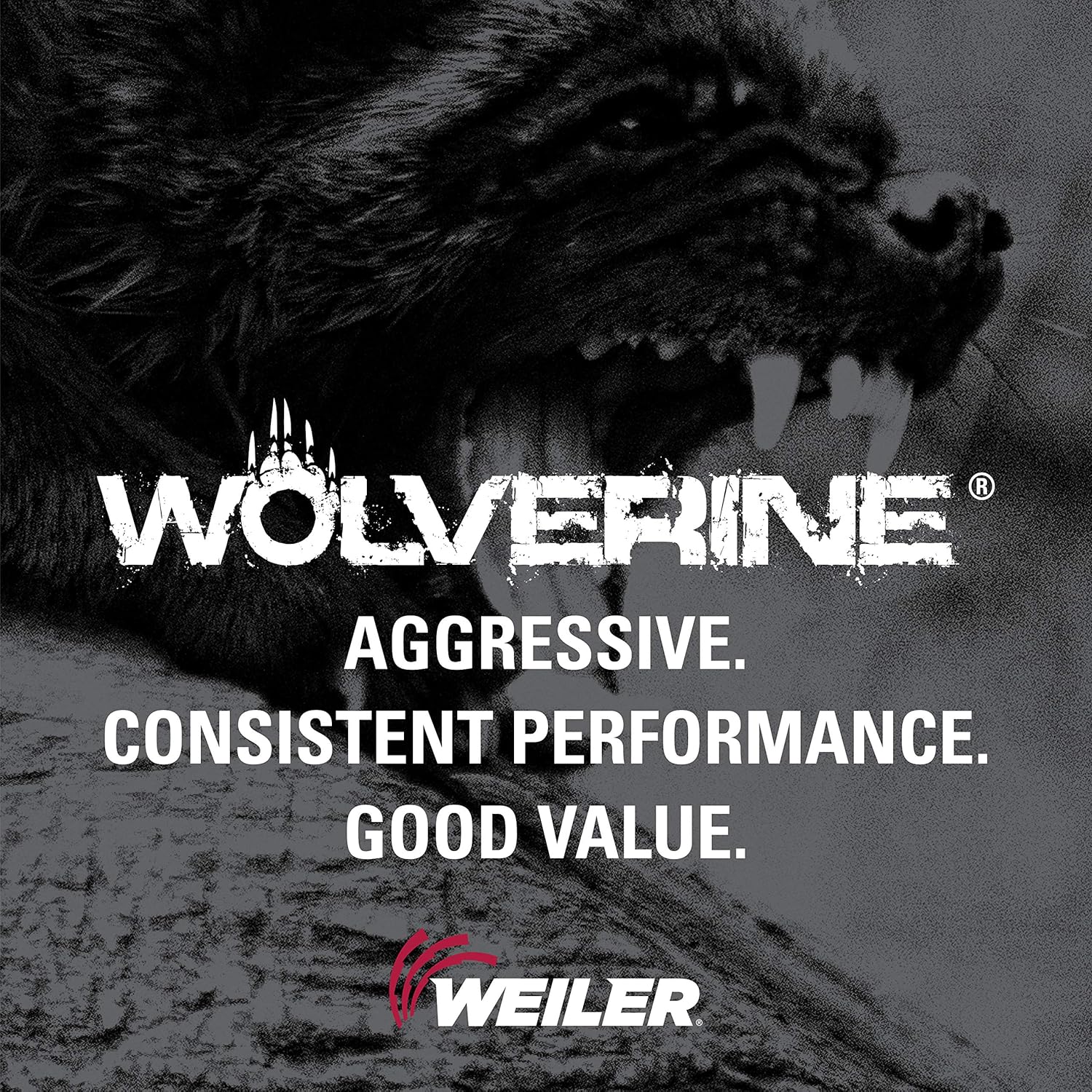 Weiler 59577 Tiger 7/8" Arbor, 4-1/2" Diameter, 80 Grit, Aluminum Oxide, Fiber Backing, Resin Fiber Disc