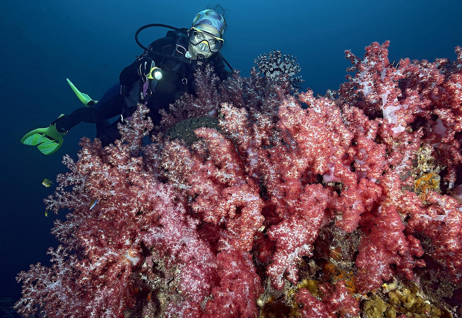 PRINCETON TEC League LED Flashlight - Neon Yellow