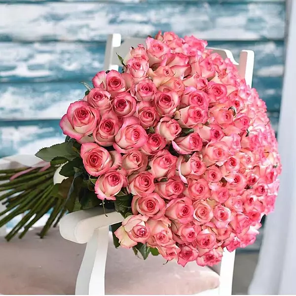 101 Luxury Pink Roses Bouquet