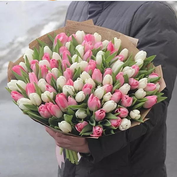 101 Pink   White Tulips Bouquet