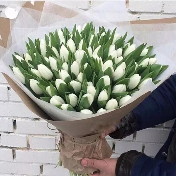 101 Luxury White Tulips Bouquet