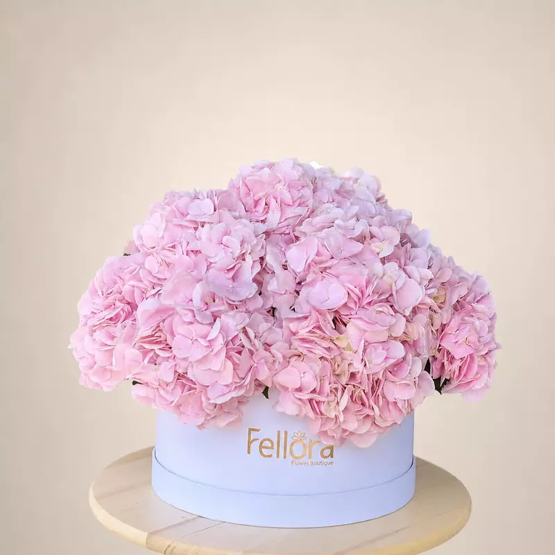 11 Pink Hydrangea Box