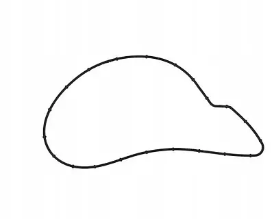 Water Pump Gasket