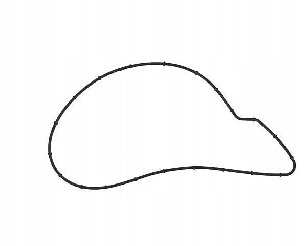 Water Pump Gasket