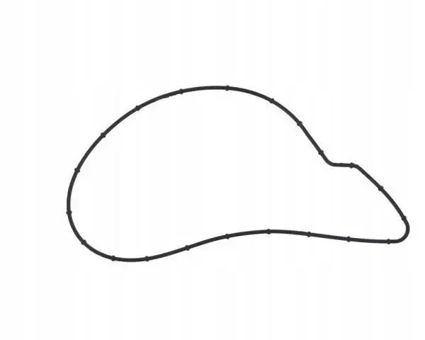 Water Pump Gasket