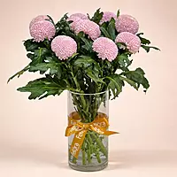 11 Chrysanthemum Ping Pong Vase
