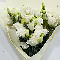 11 White Lisianthus Bouquet