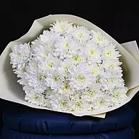 11 White Chrysanthemum Bouquet