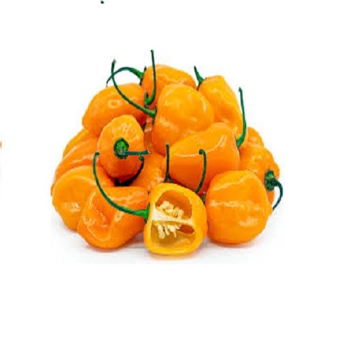AgriBloom Habanero-Yellow AgriBloom Habanero-Yellow