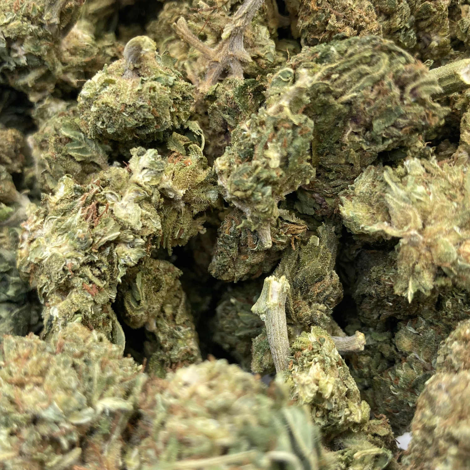 Afghan Kush Exterior Regular