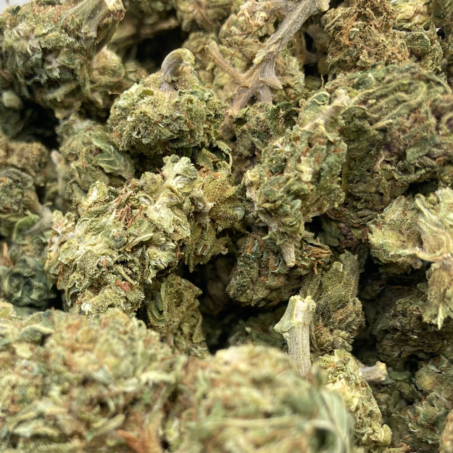 Afghan Kush Exterior Regular