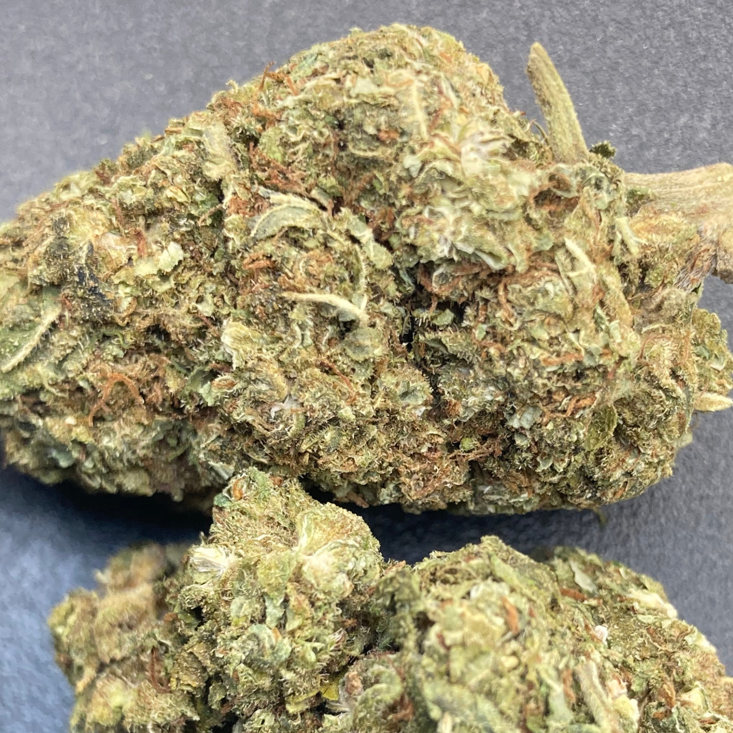 Afghan Kush Exterior Regular