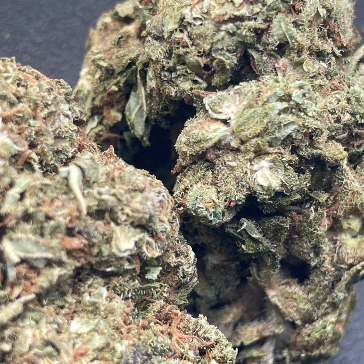 Afghan Kush Exterior Regular