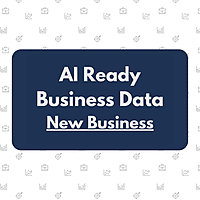 AI Ready Data Package - New Business Owners