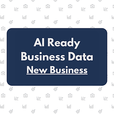 AI Ready Data Package - New Business Owners AI Ready Data Package - New Business Owners