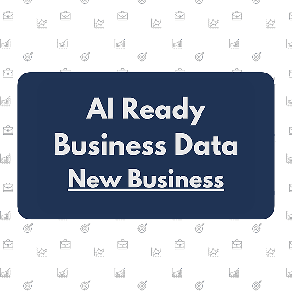 AI Ready Data Package - New Business Owners