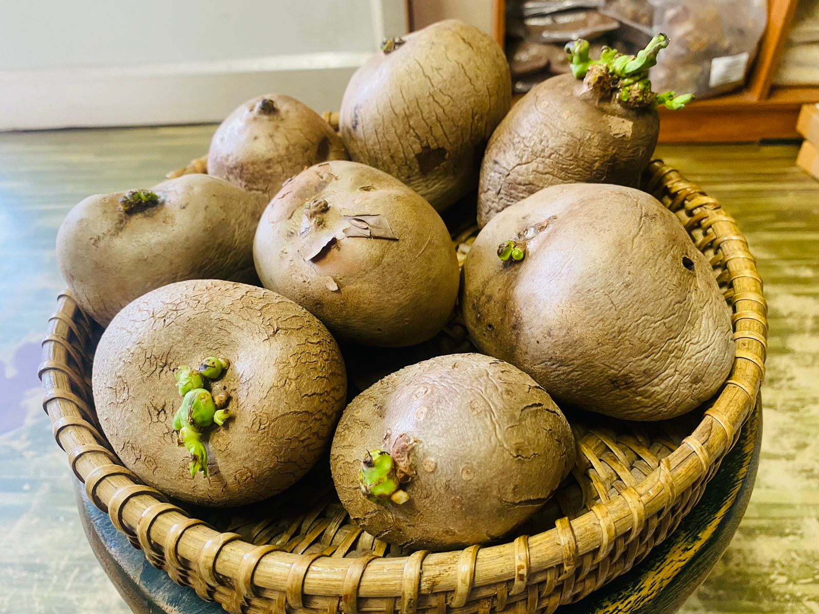 Air potato கொடி உருளை விதை கிழங்கு-Medium