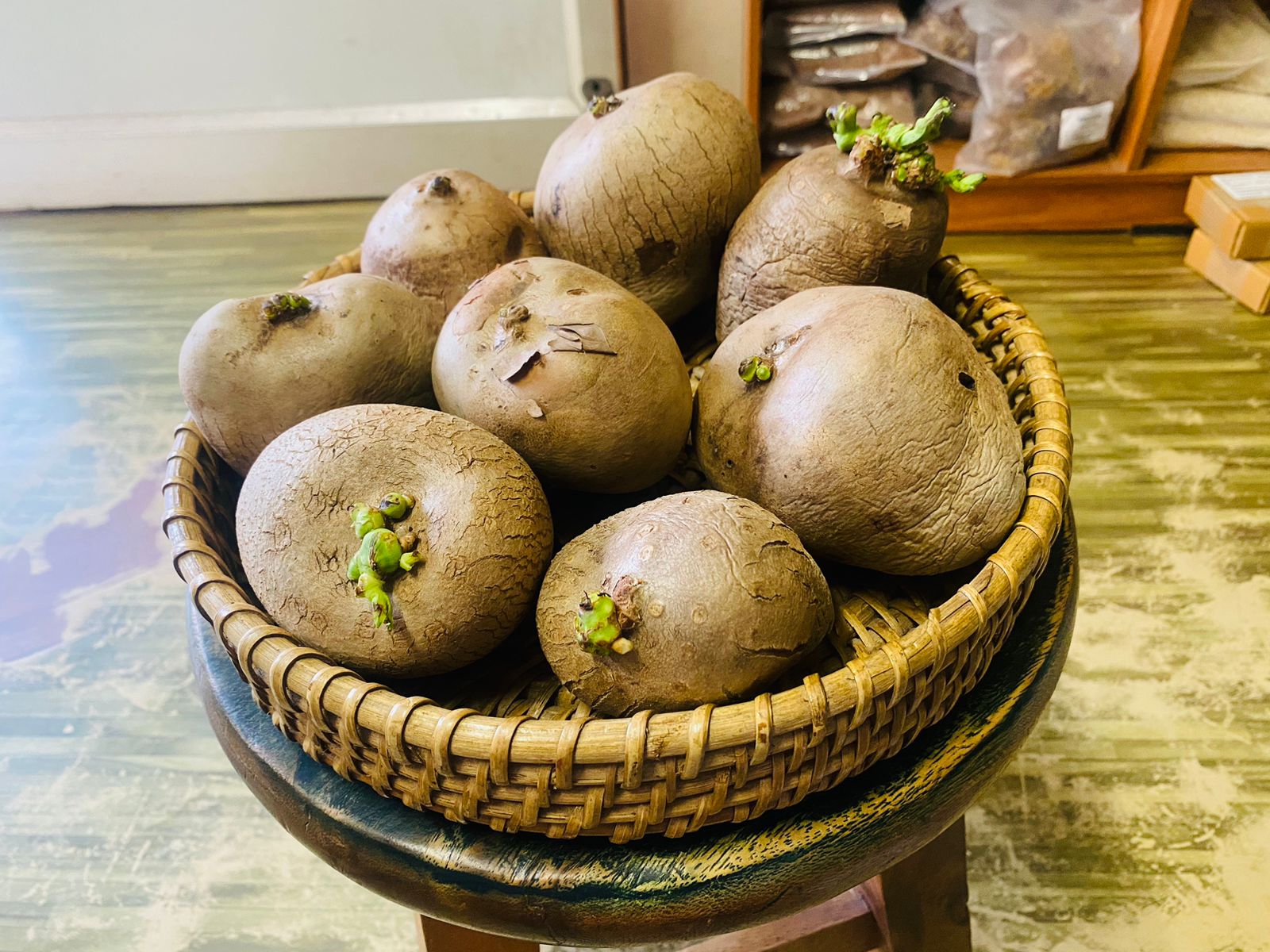 Air potato கொடி உருளை விதை கிழங்கு-Medium