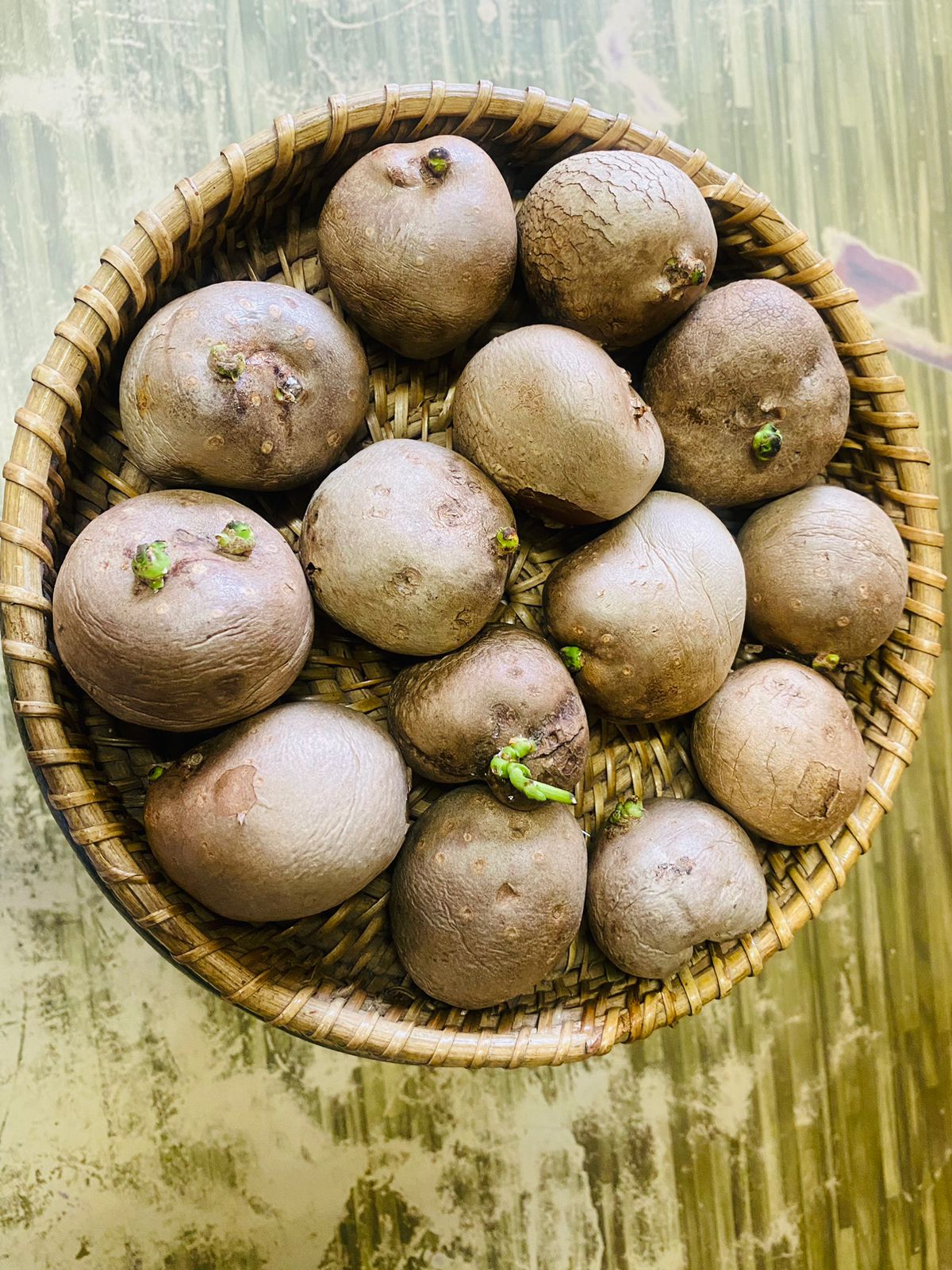 Copy of Air potato கொடி உருளை விதை கிழங்கு-SMALL