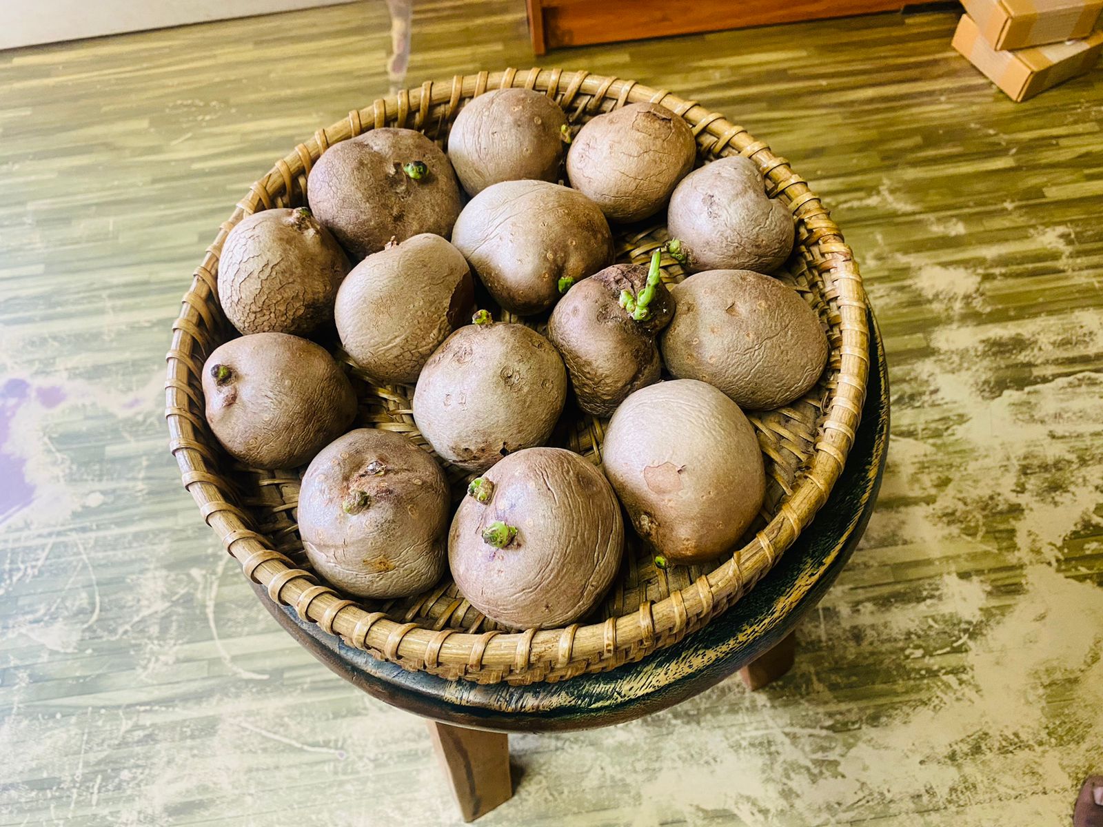 Copy of Air potato கொடி உருளை விதை கிழங்கு-SMALL