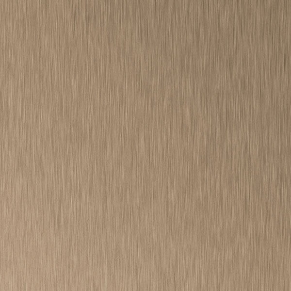BRUSHED TITAN