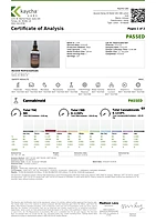 Relief 200 CBD Lotion