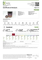 Relief 800 CBD Pain Salve