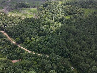 Chris Lane - 5 Acres Unrestricted Land - Clark County Arkansas