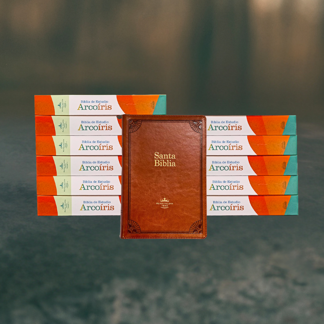 Biblia de Estudio Arcoiris / Imitacion Piel / Bronce / Letra grande de 10 Punto / Caja de 12 unidades