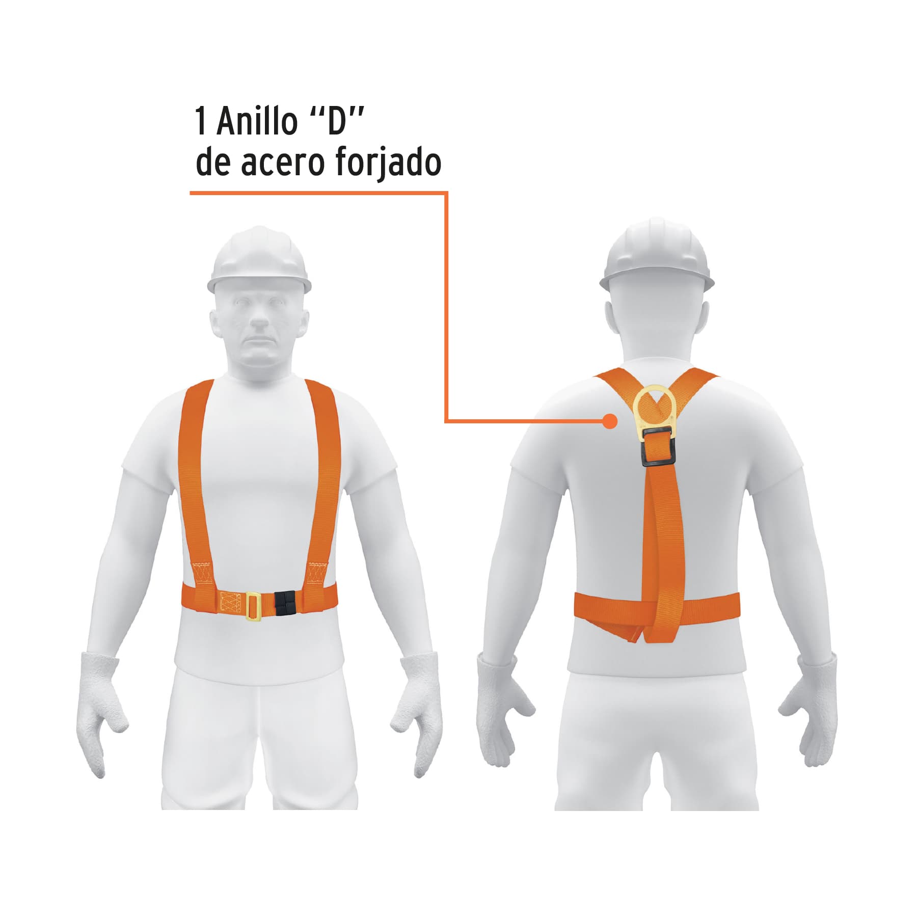 arnés-de-pecho-1-anillo