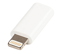 Adaptateur Lightning Mâle Vers USB Type C Femelle