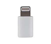 Adaptateur Lightning Mâle Vers USB Type C Femelle