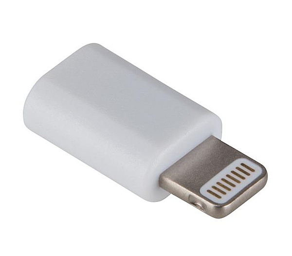 Adaptateur Lightning Mâle Vers USB Type C Femelle