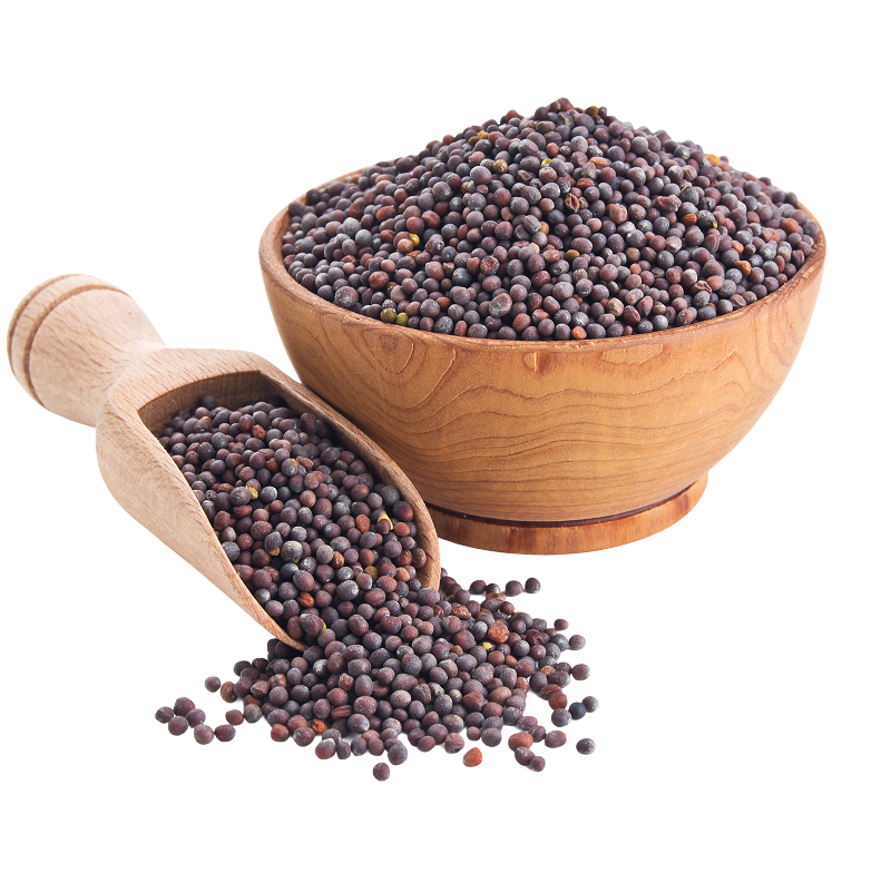 Kadugu 50g (கடுகு)