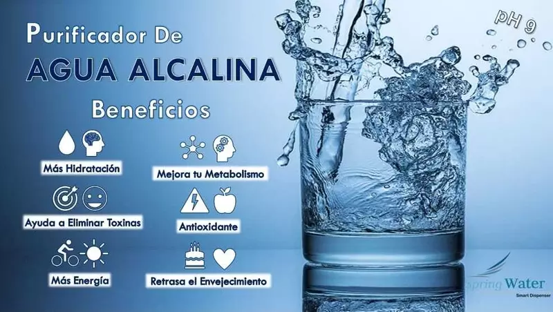 ACCESORIO PROCESO ALCALINO