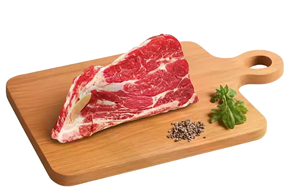Aguja Norteña