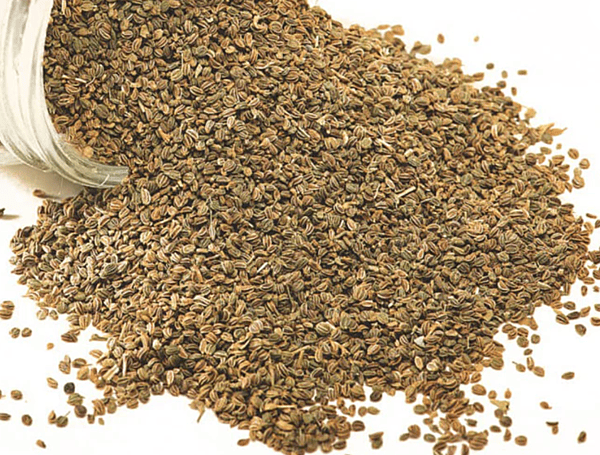 Ajmore / Ajwine / Carom seeds